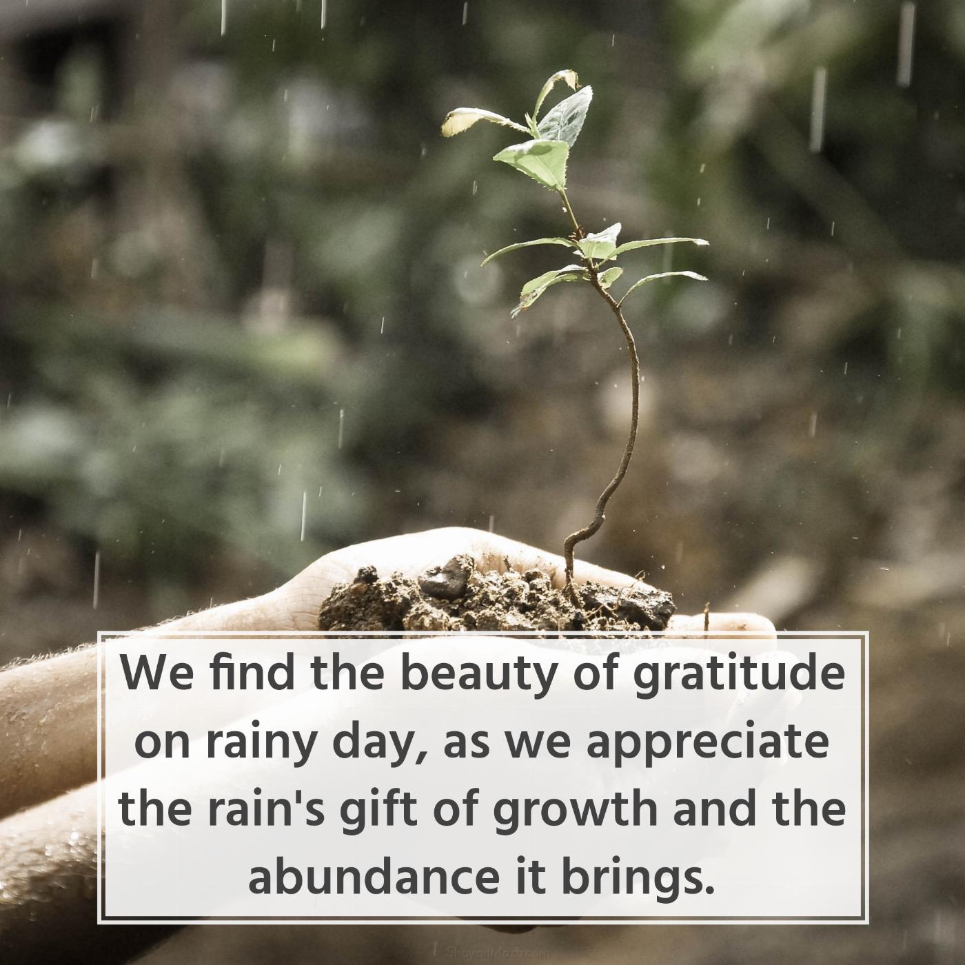 We find the beauty of gratitude on rainy day