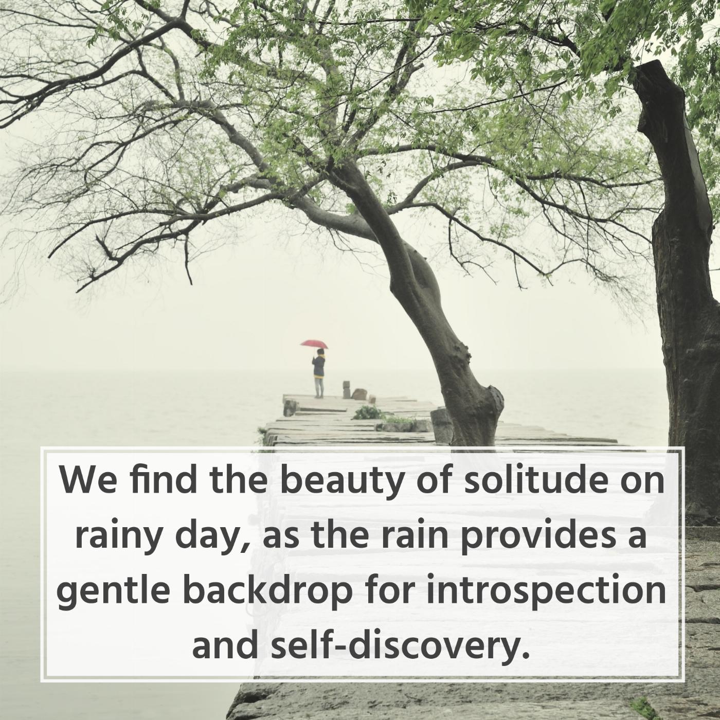We find the beauty of solitude on rainy day