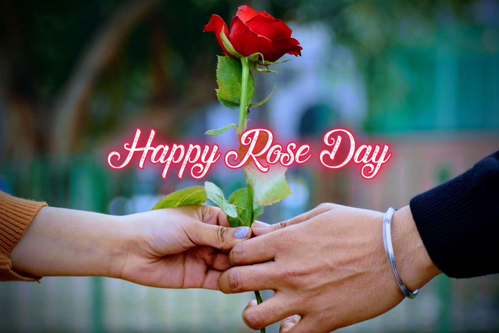 Happy Rose Day Couple Images