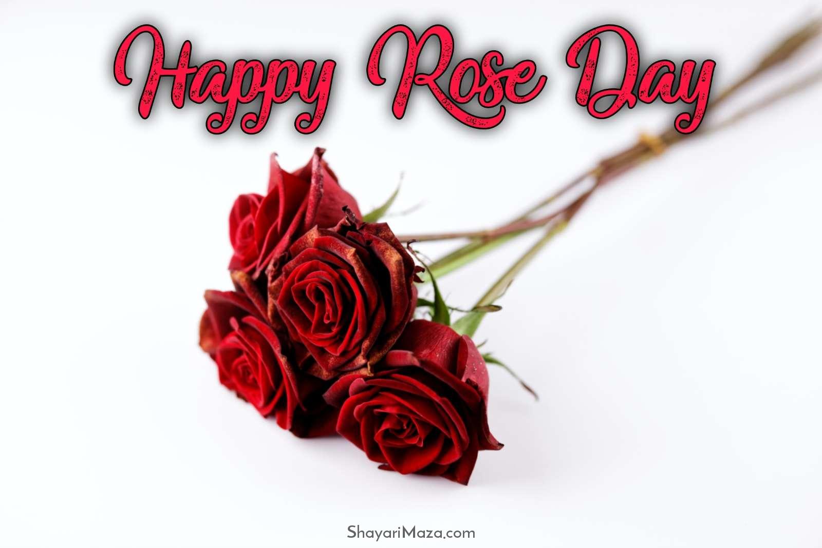 Happy Rose Day For Friends Images