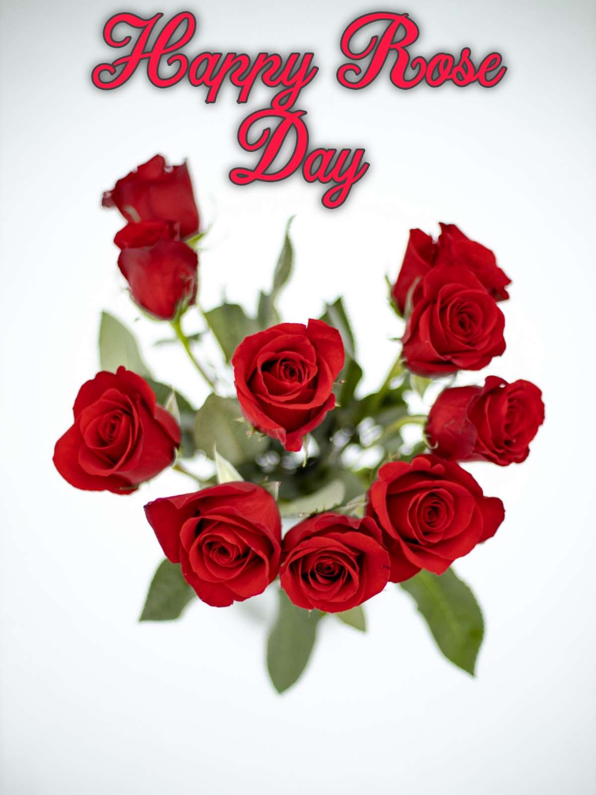 Happy Rose Day Friend Image