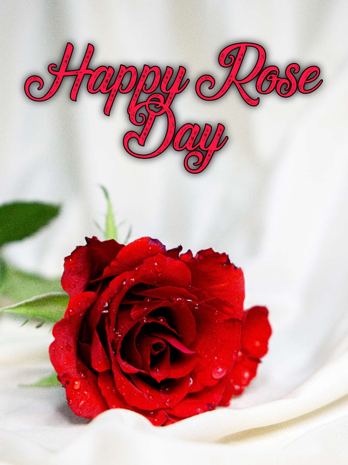 Happy Rose Day Ka Photo - ShayariMaza