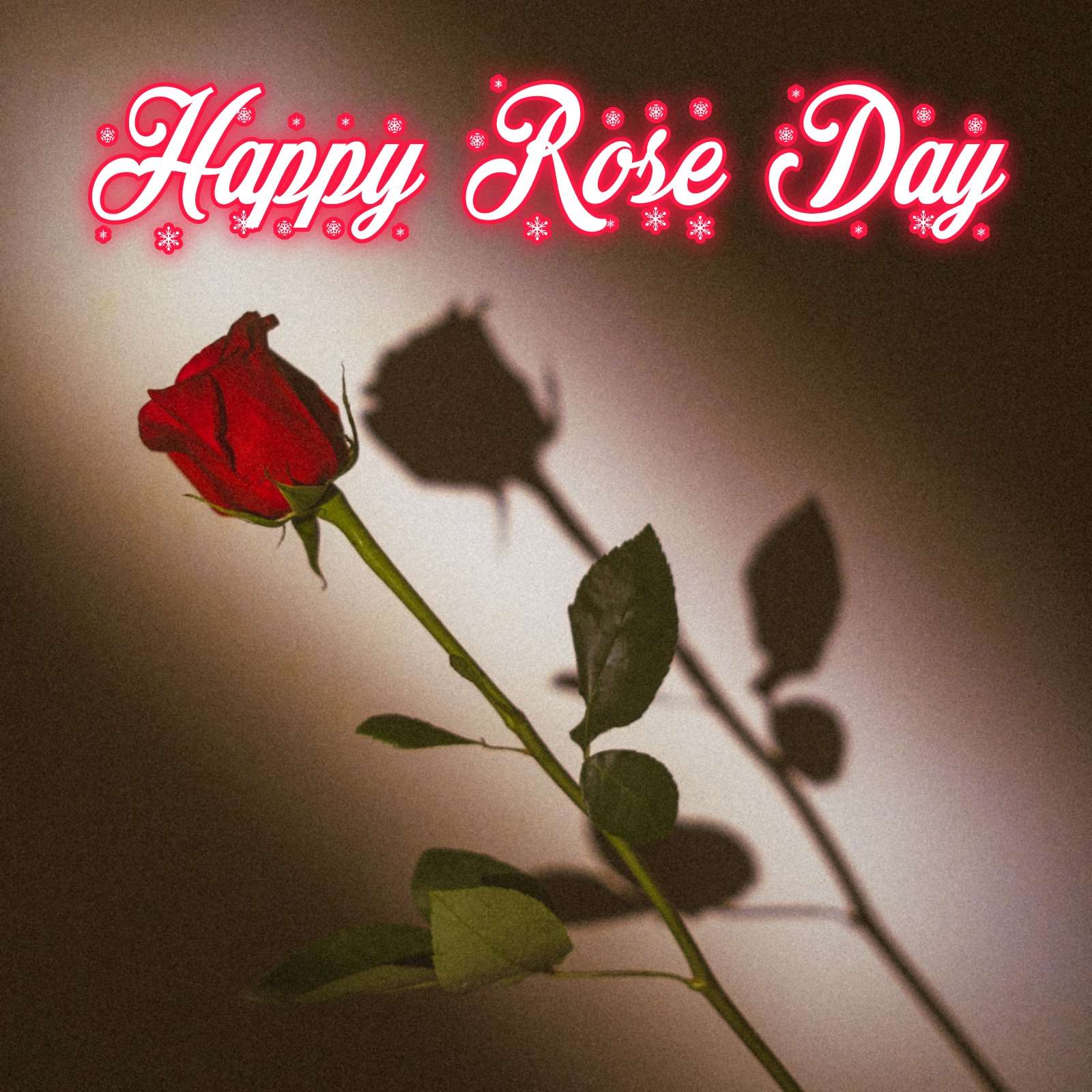 Happy Rose Day Ka Photo