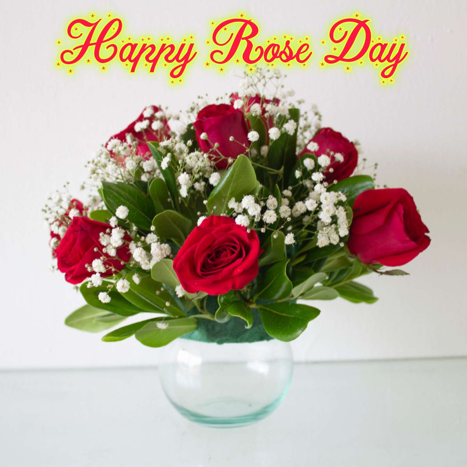Happy Rose Day Ka Pic