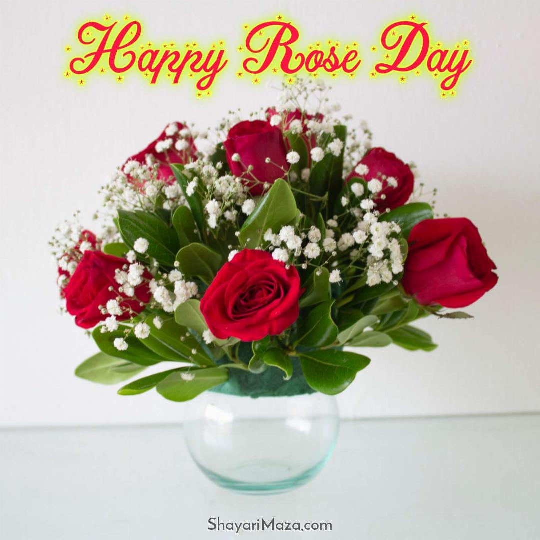 Happy Rose Day Ka Pic