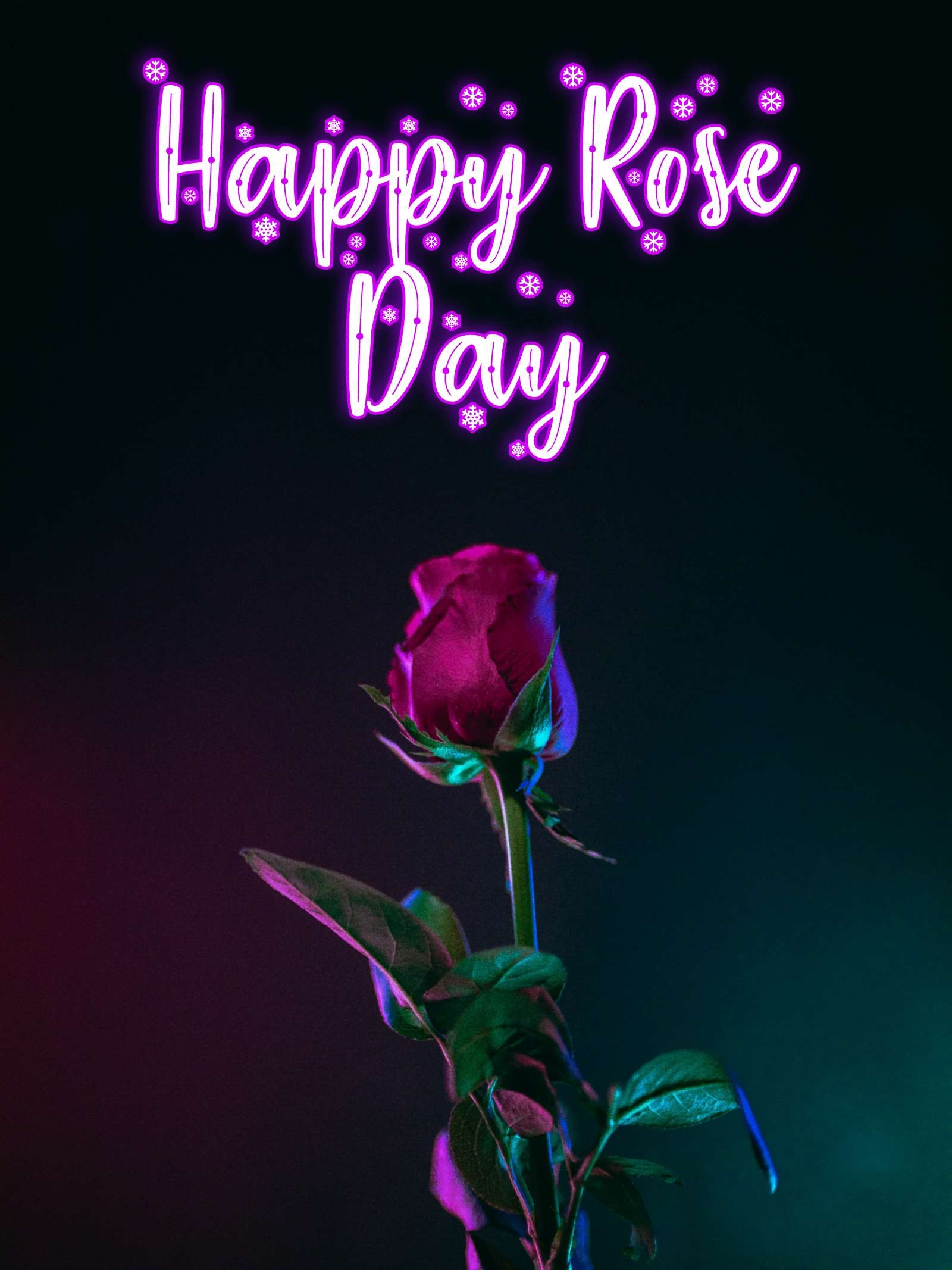 Happy Rose Day Pic