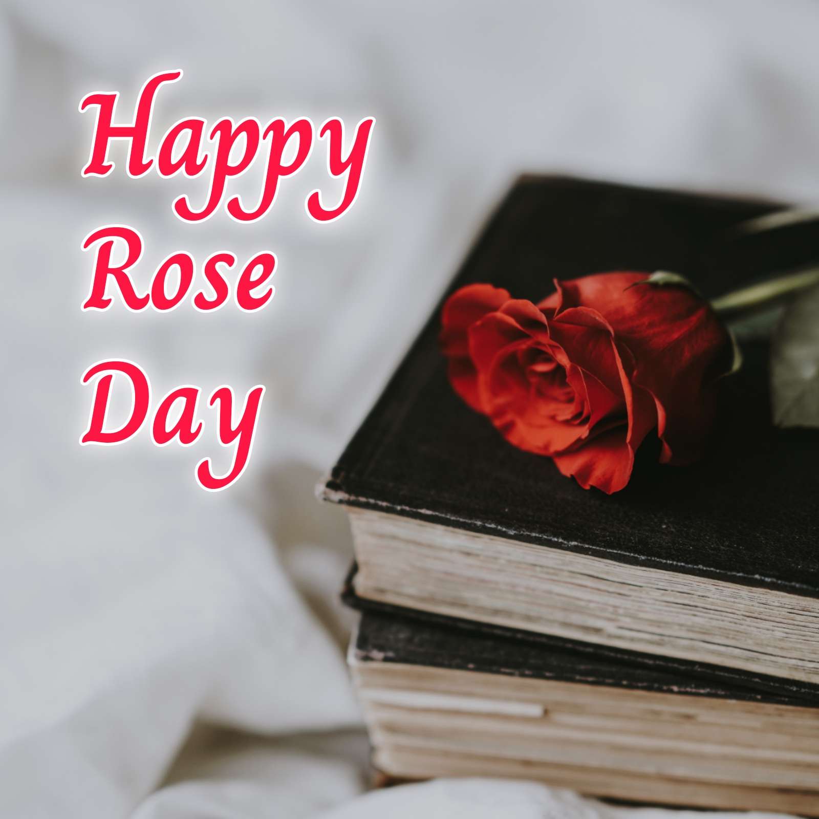Husband Romantic Rose Day Images