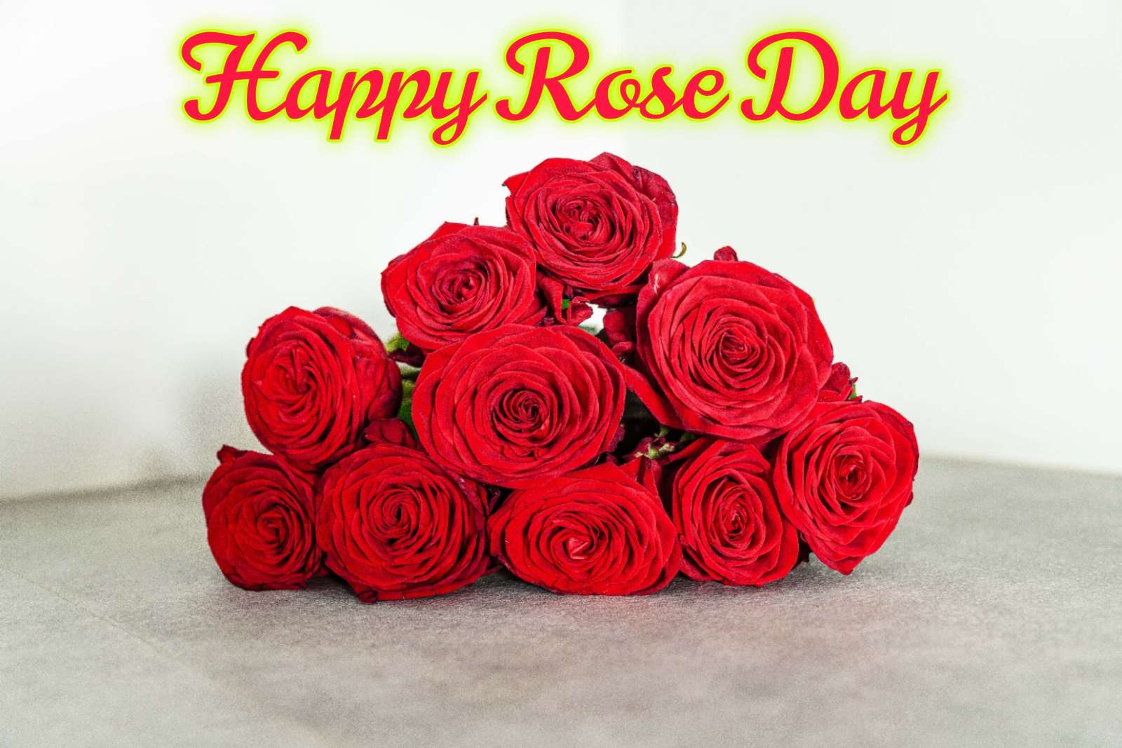 Rose Day Images For Girlfriend