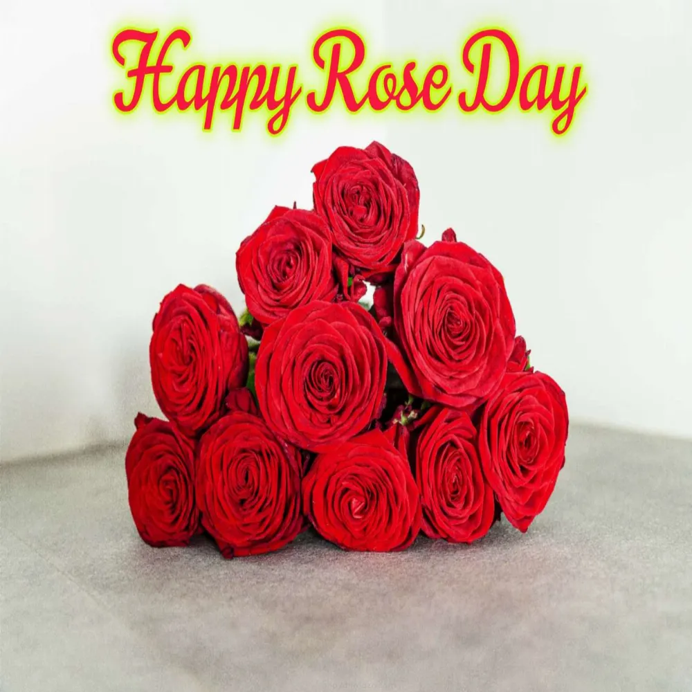 Rose Day Images For Girlfriend
