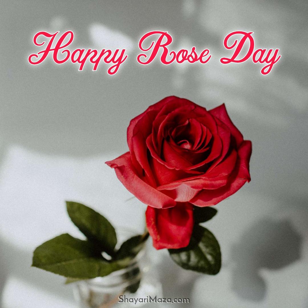 Rose Day Special Images