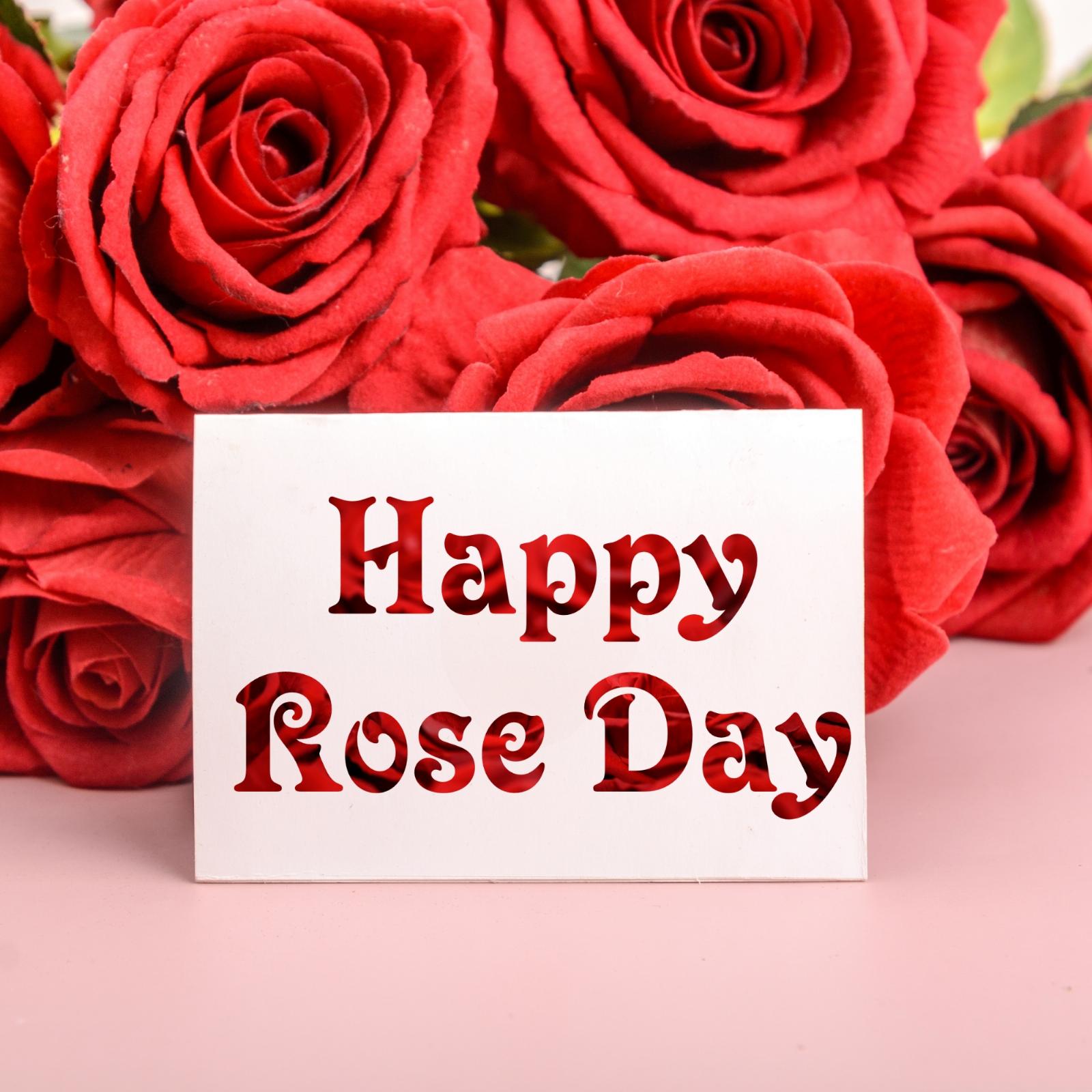 Cute Happy Rose Day Images