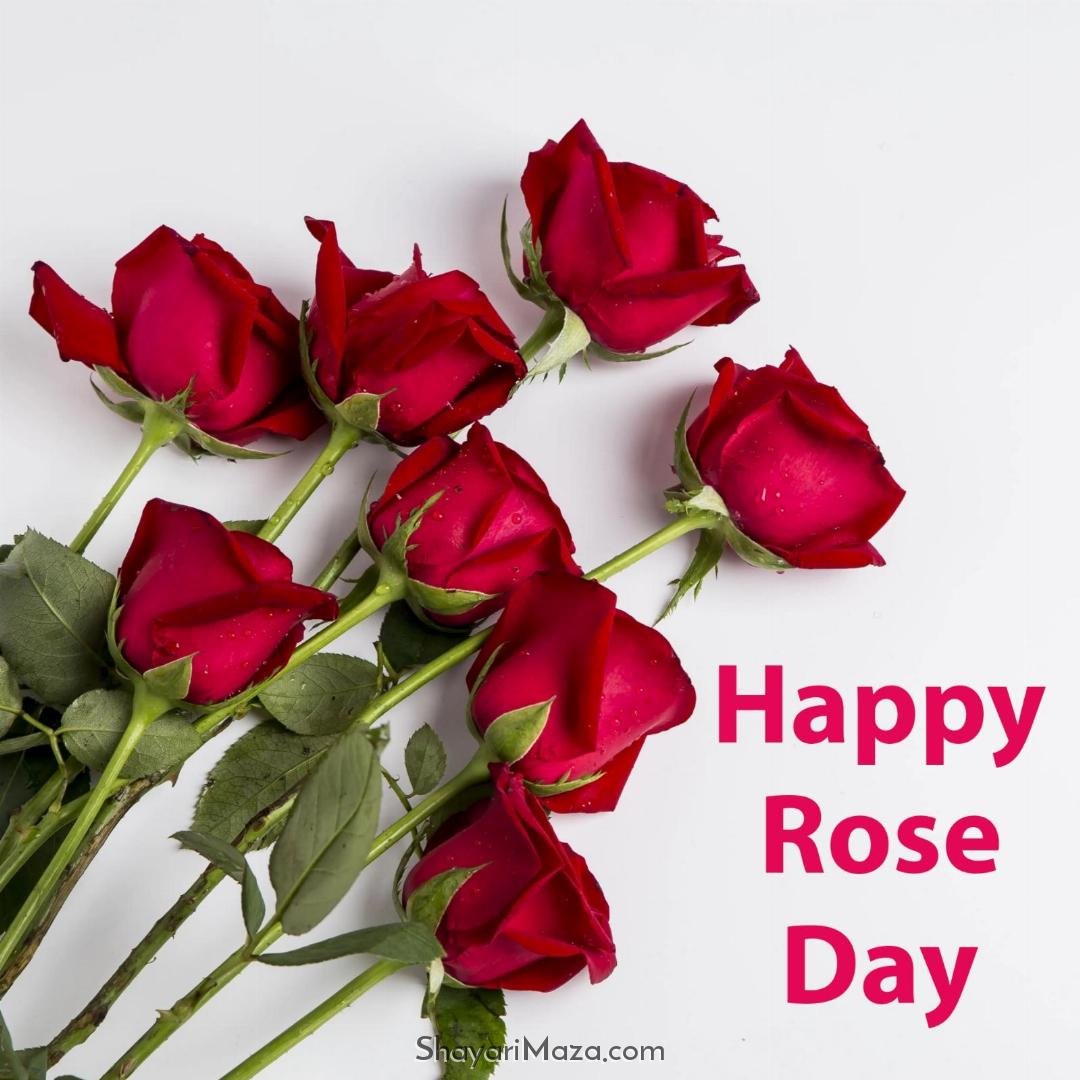 Happy Rose Day Images 2023