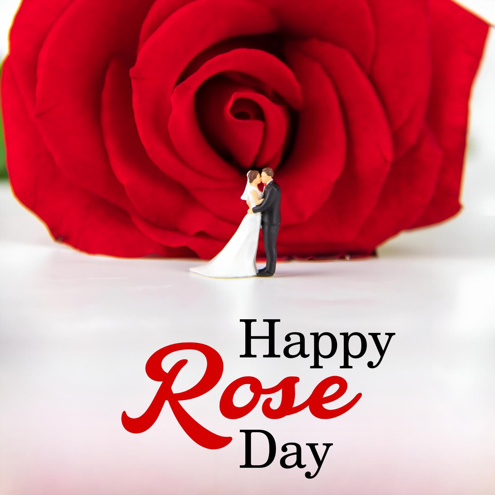 Happy Rose Day Images For Lovers