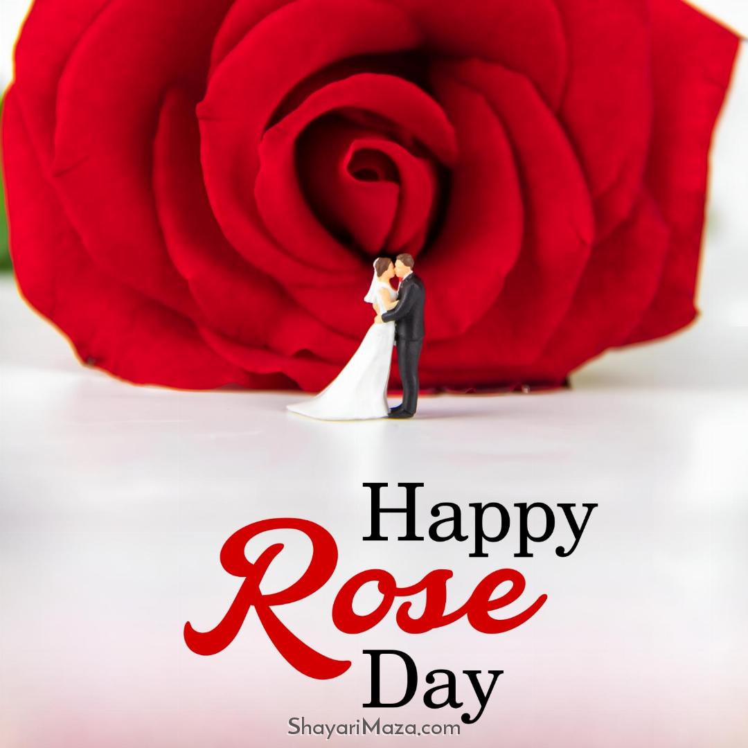 Happy Rose Day Images For Lovers