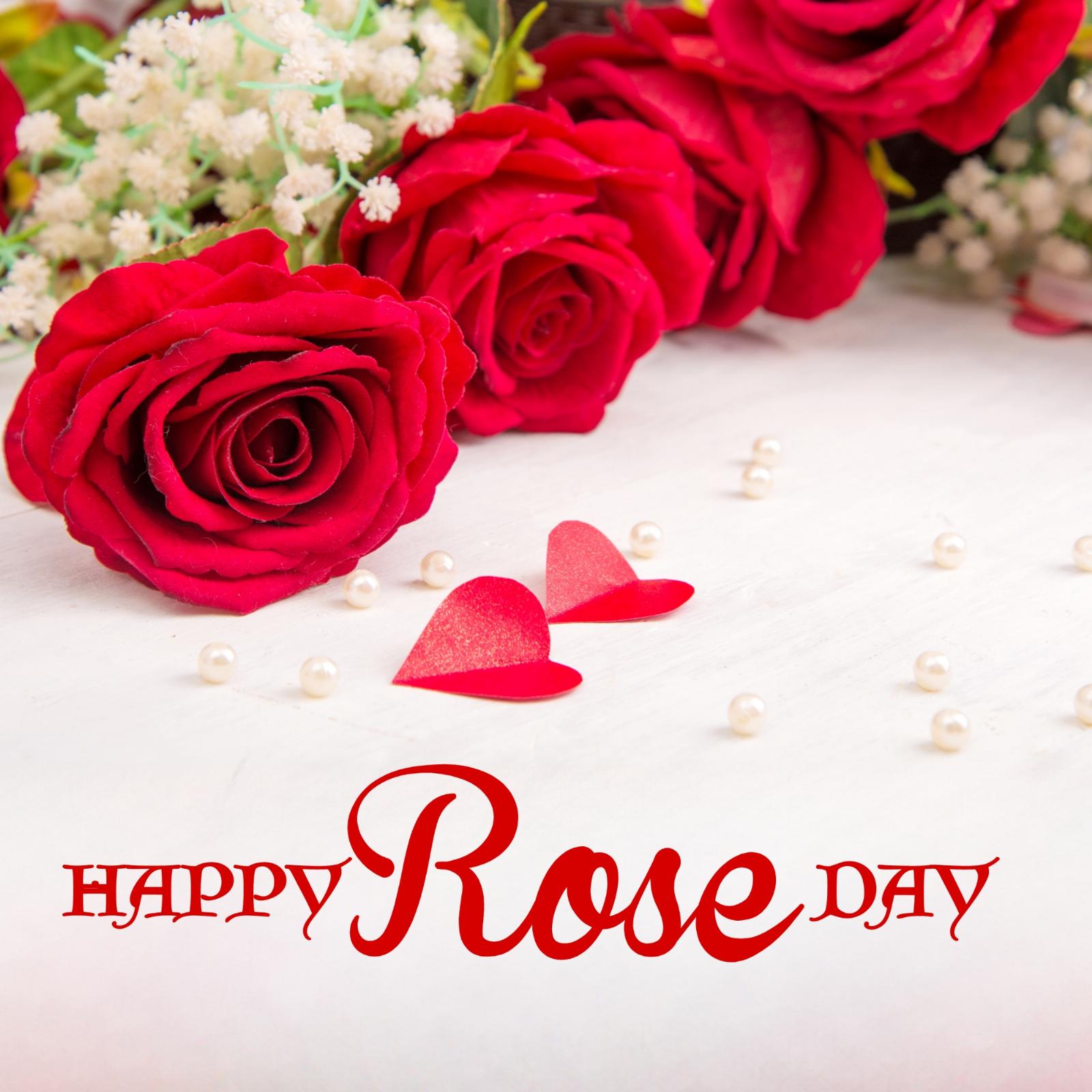 Happy Rose Day Images For Wife