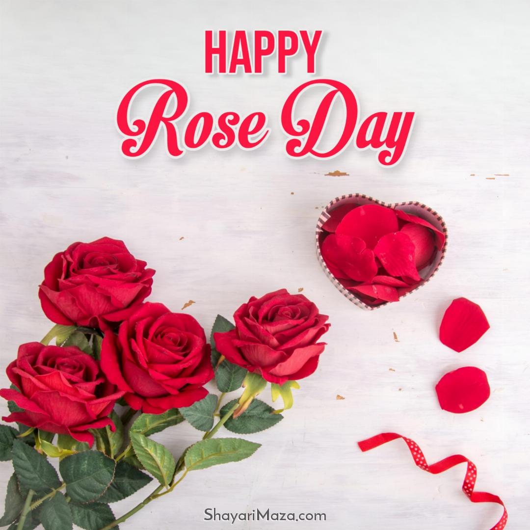 Happy Rose Day Images