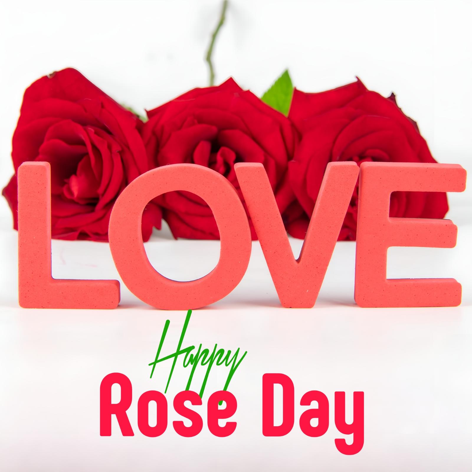 Happy Rose Day Love Images