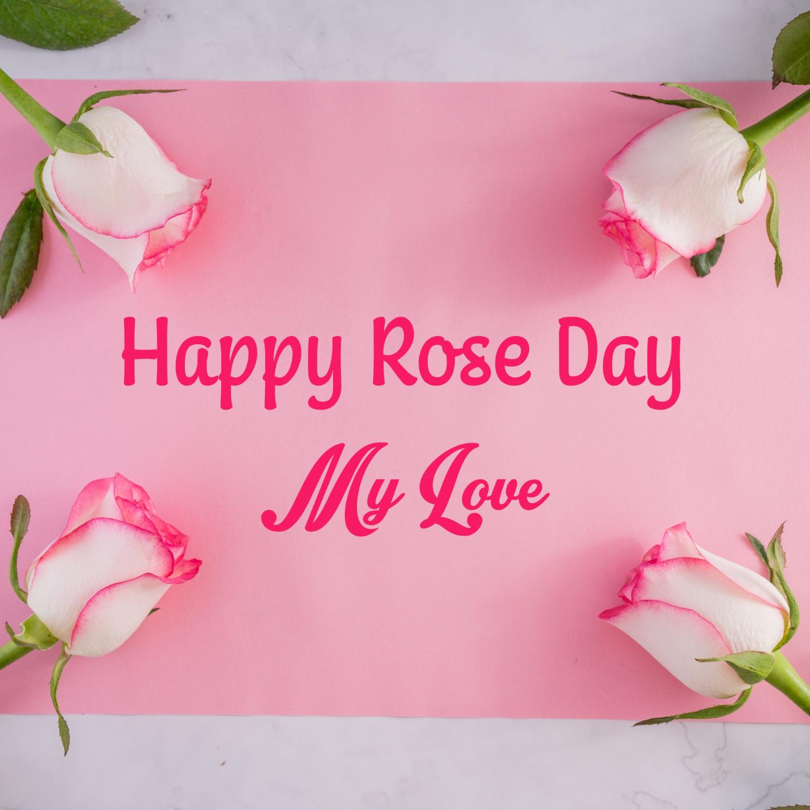 Happy Rose Day My Love Images