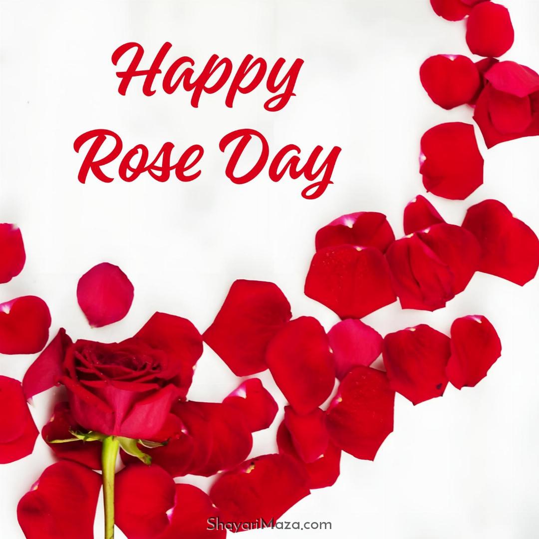 Happy Rose Day Photo