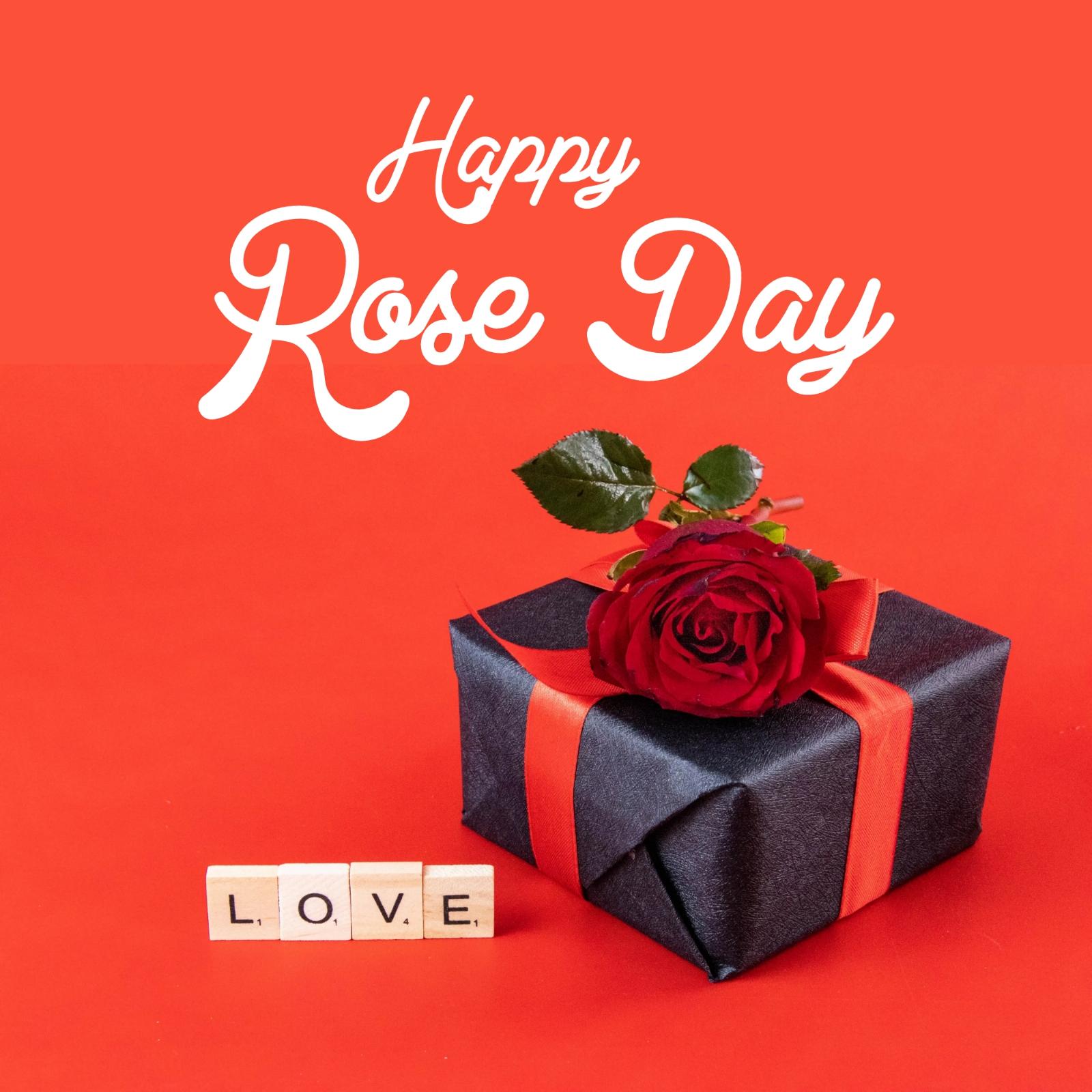 Happy Rose Day Pic