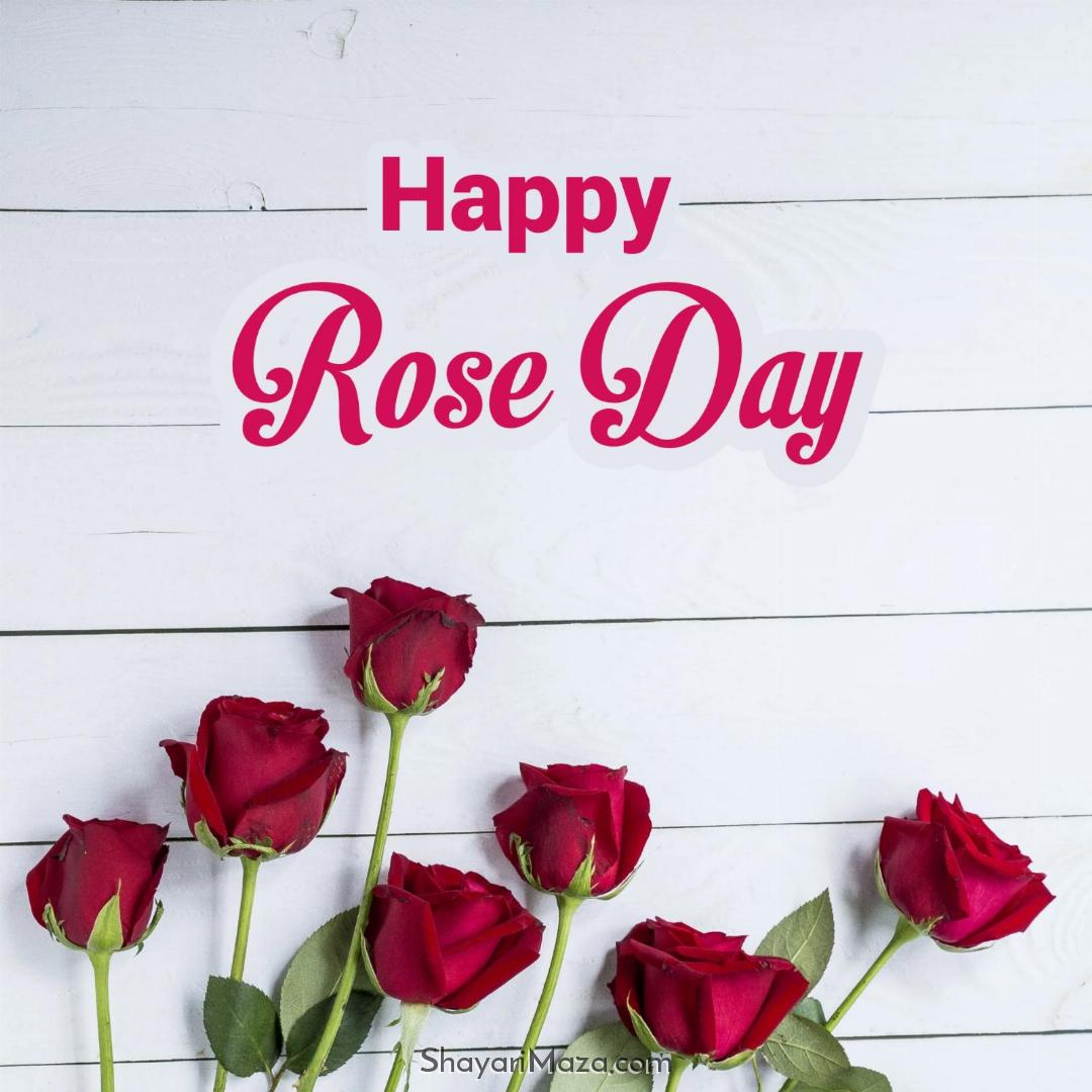 Happy Rose Day Picture