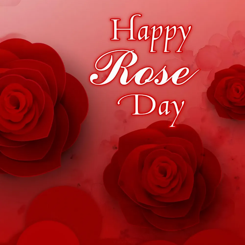 Happy Rose Day Red Roses Images