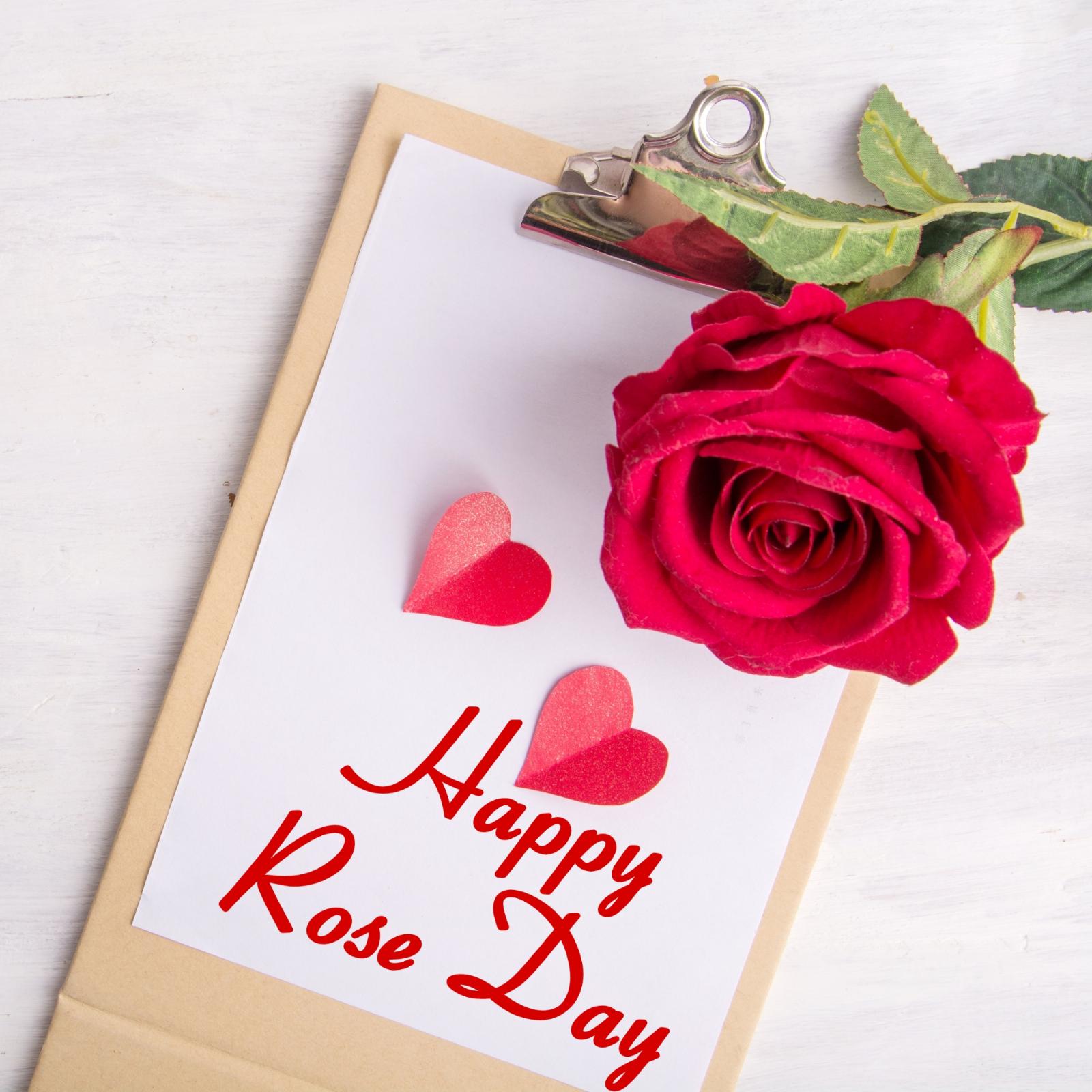 Happy Rose Day Wishes Images