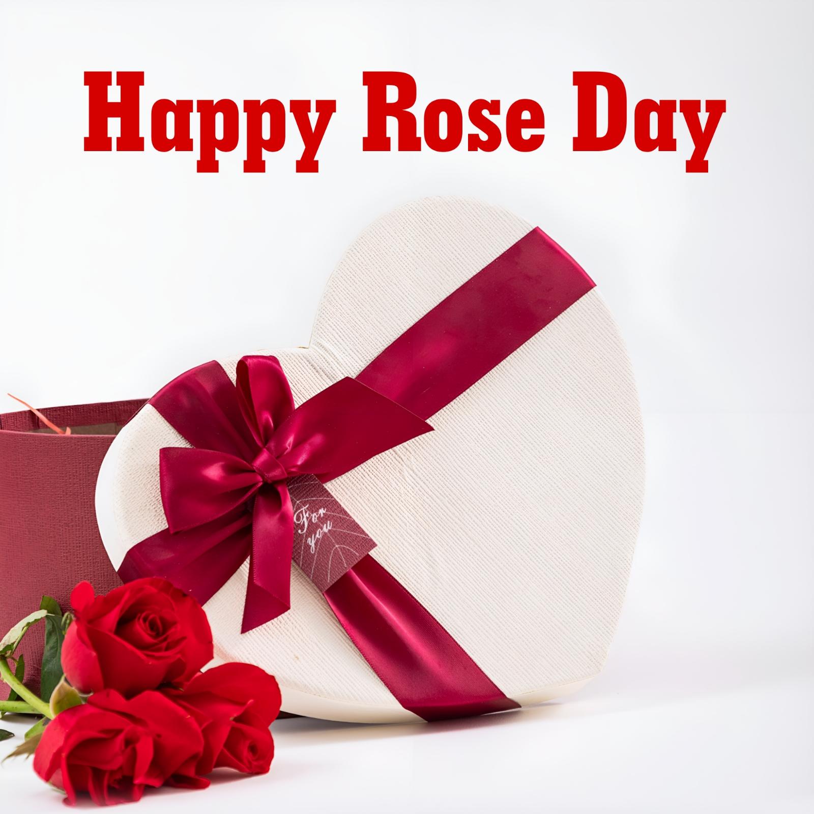 Romantic Happy Rose Day Images
