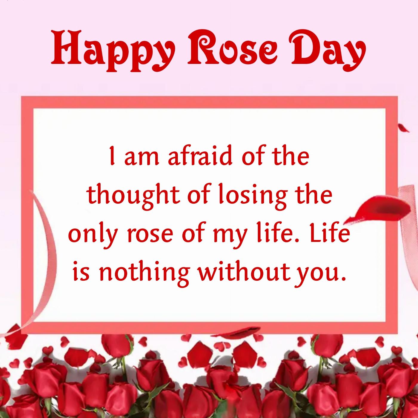 I am afraid of the thought of losing the only rose of my life