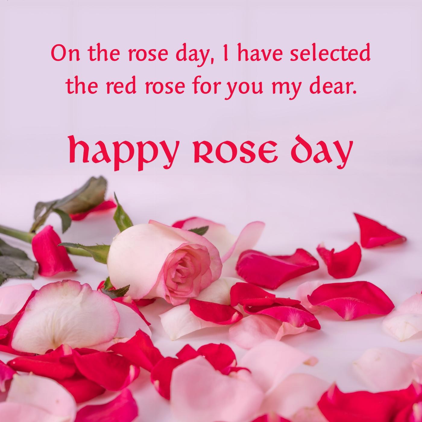 On the rose day I have selected the red rose for you my dear