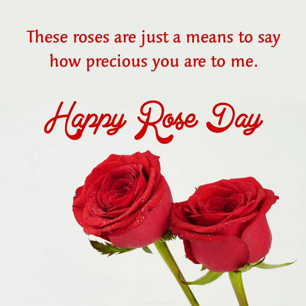 These roses are just a means to say how precious you are to me