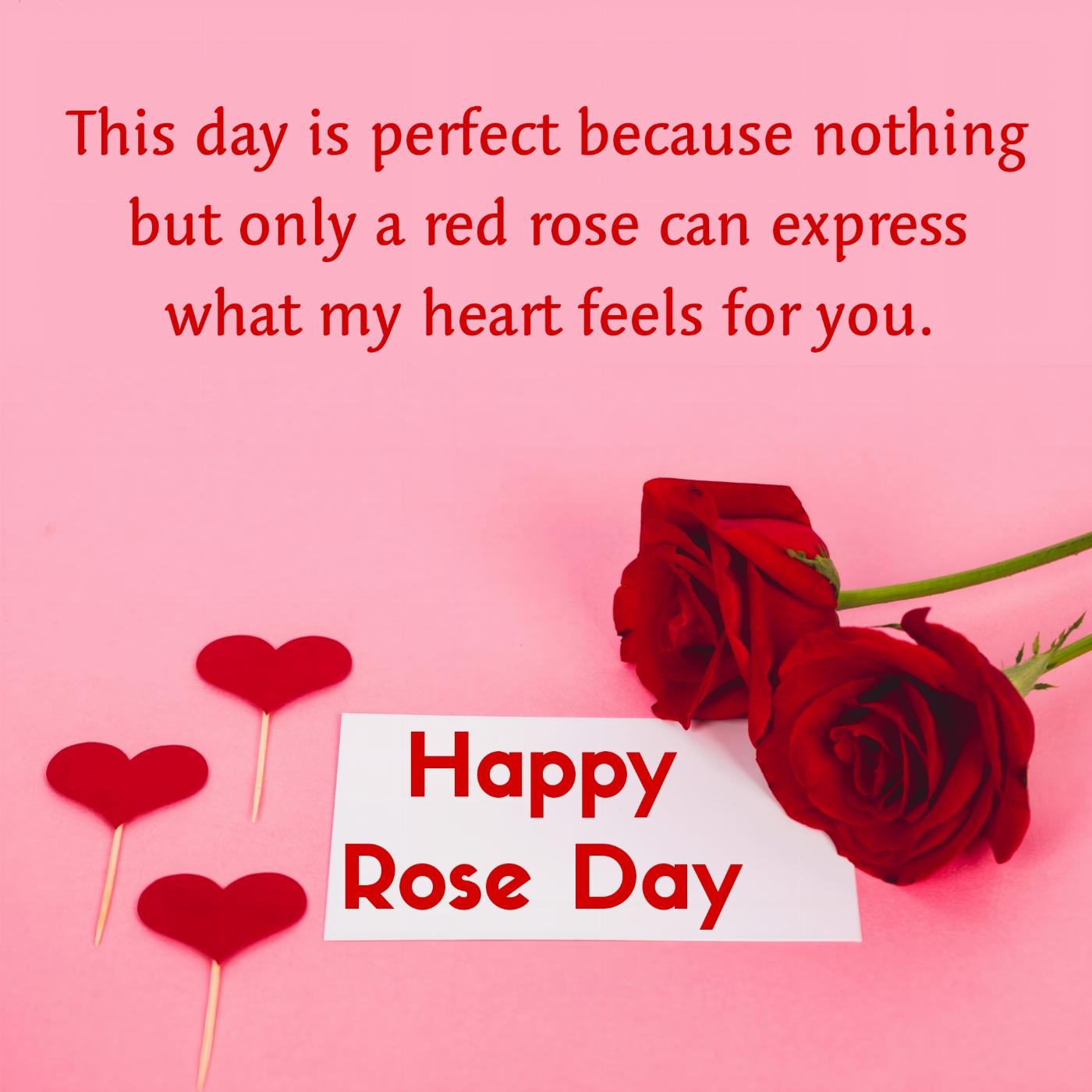 This day is perfect because nothing but only a red rose can express