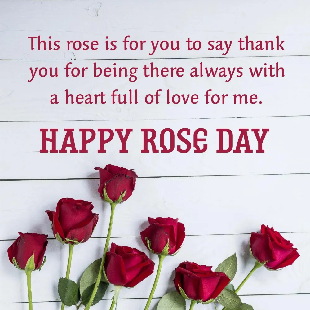 This rose is for you to say thank you for being there always