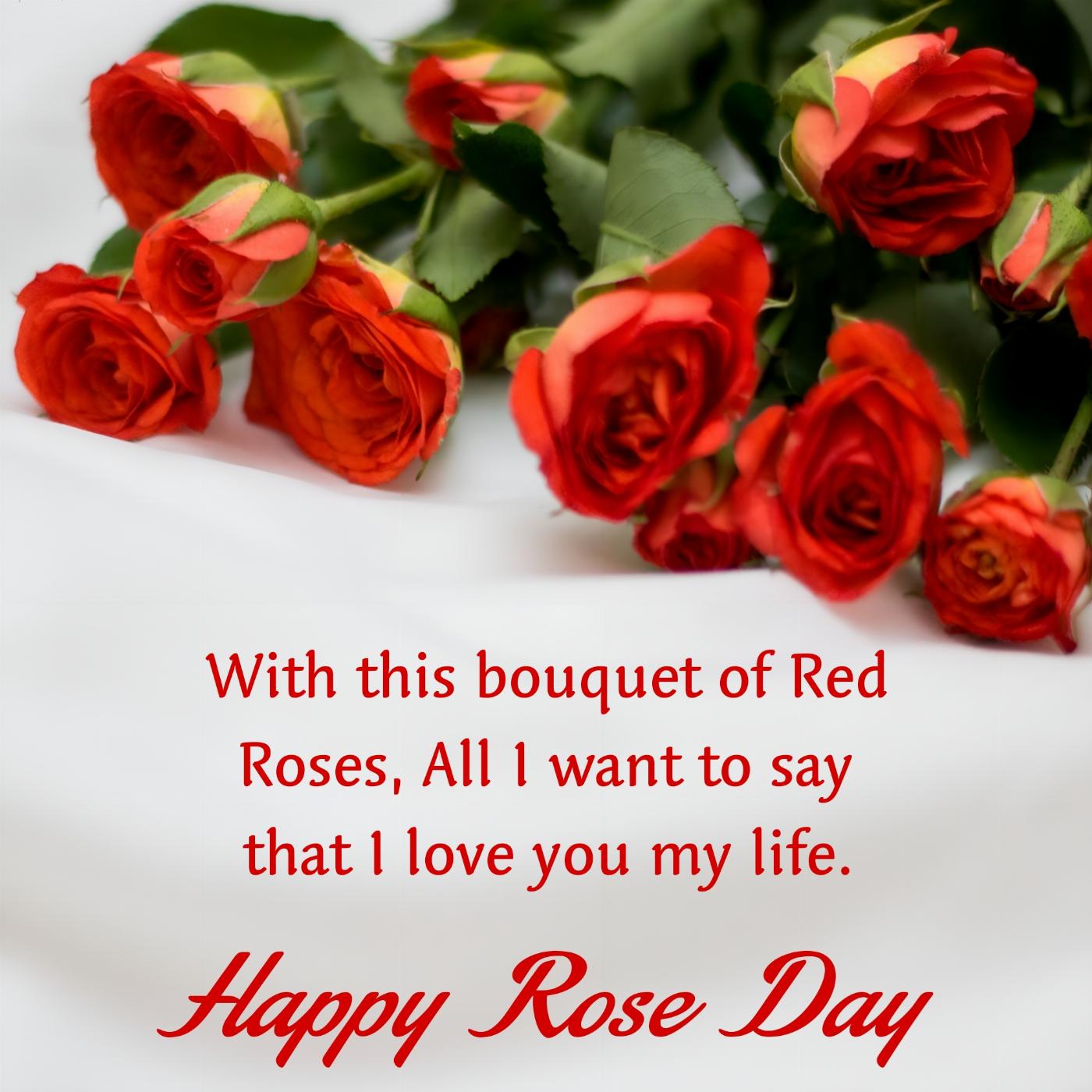 With this bouquet of Red Roses All I want to say that