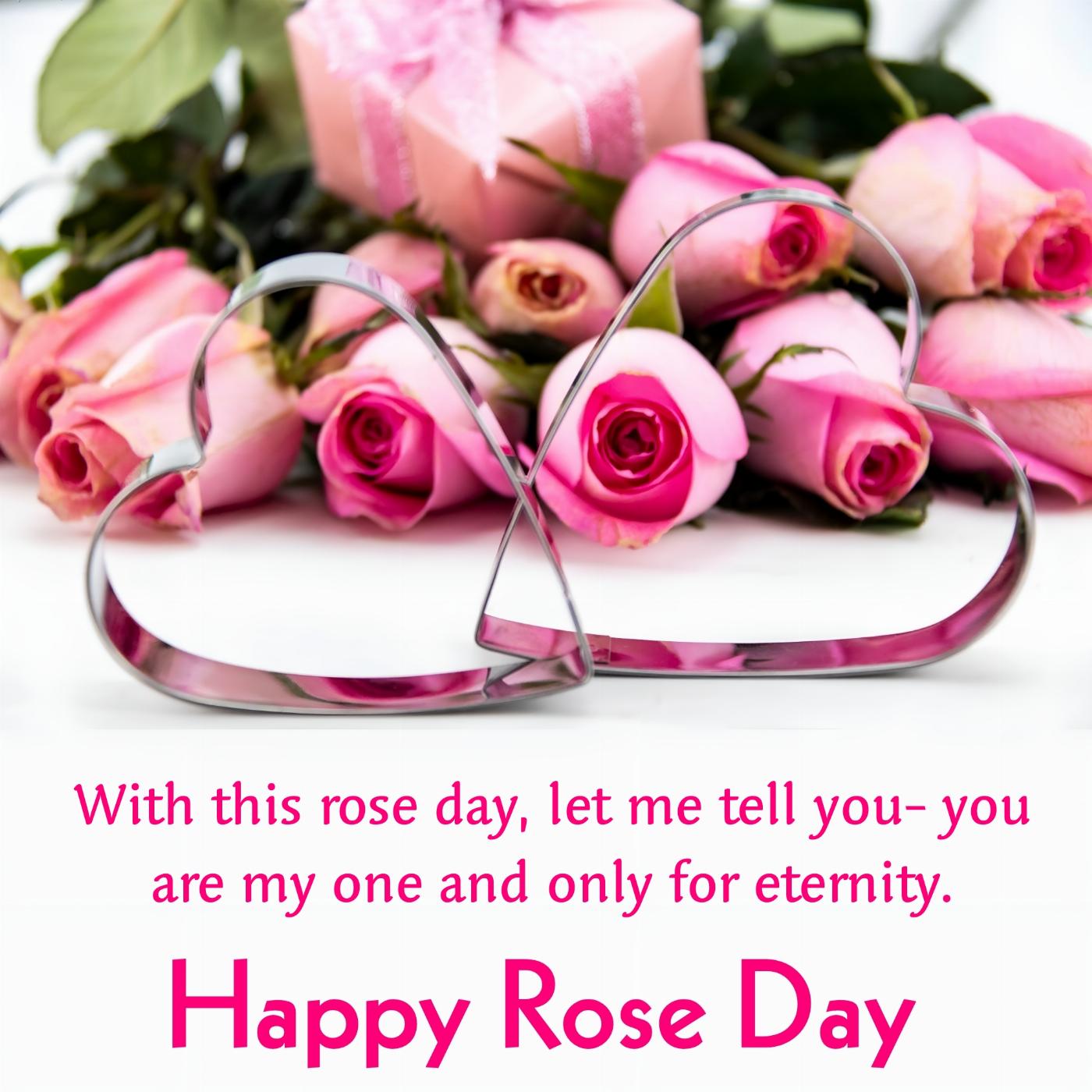 With this rose day let me tell you- you are my one and only