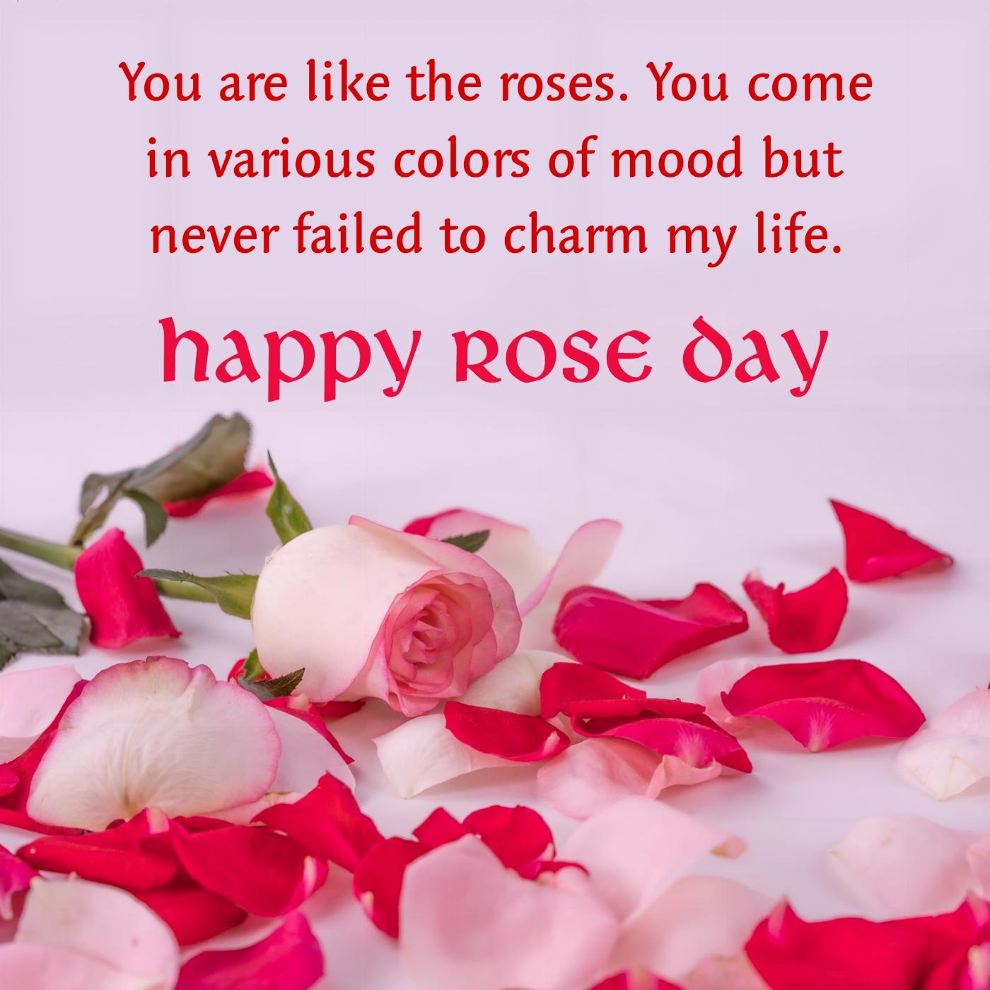 You are like the roses You come in various colors of mood