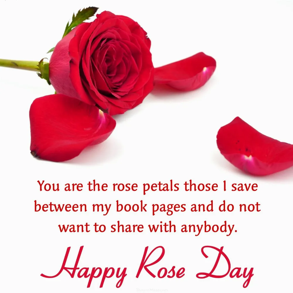 You are the rose petals those I save between my book pages