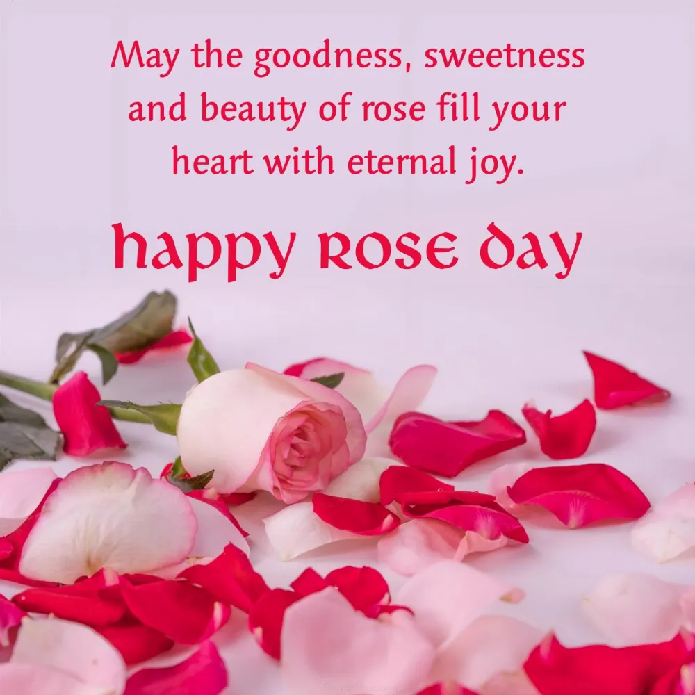 May the goodness sweetness and beauty of rose fill your heart