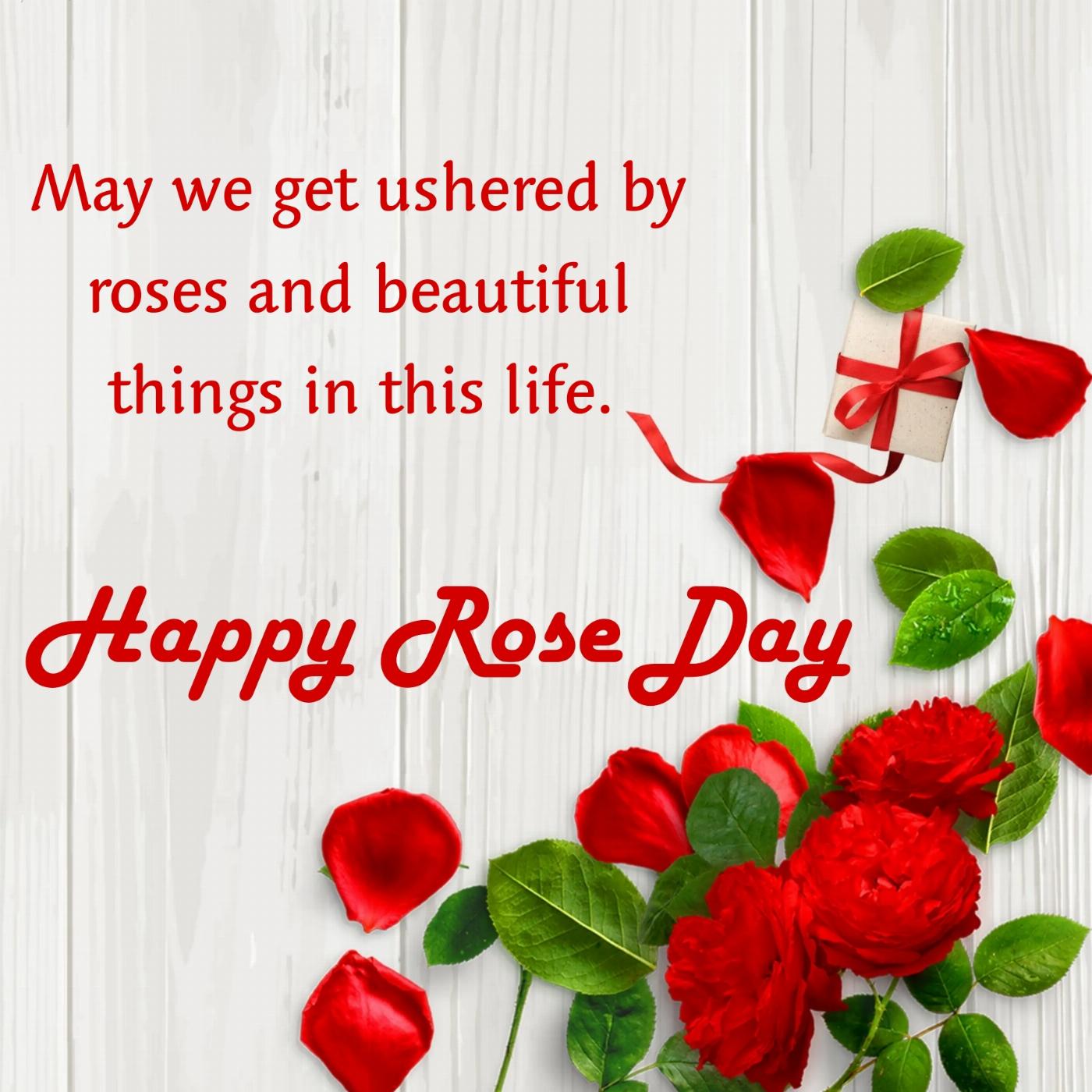 May we get ushered by roses and beautiful things in this life