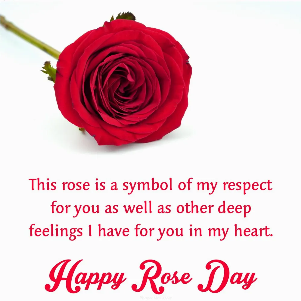 This rose is a symbol of my respect for you