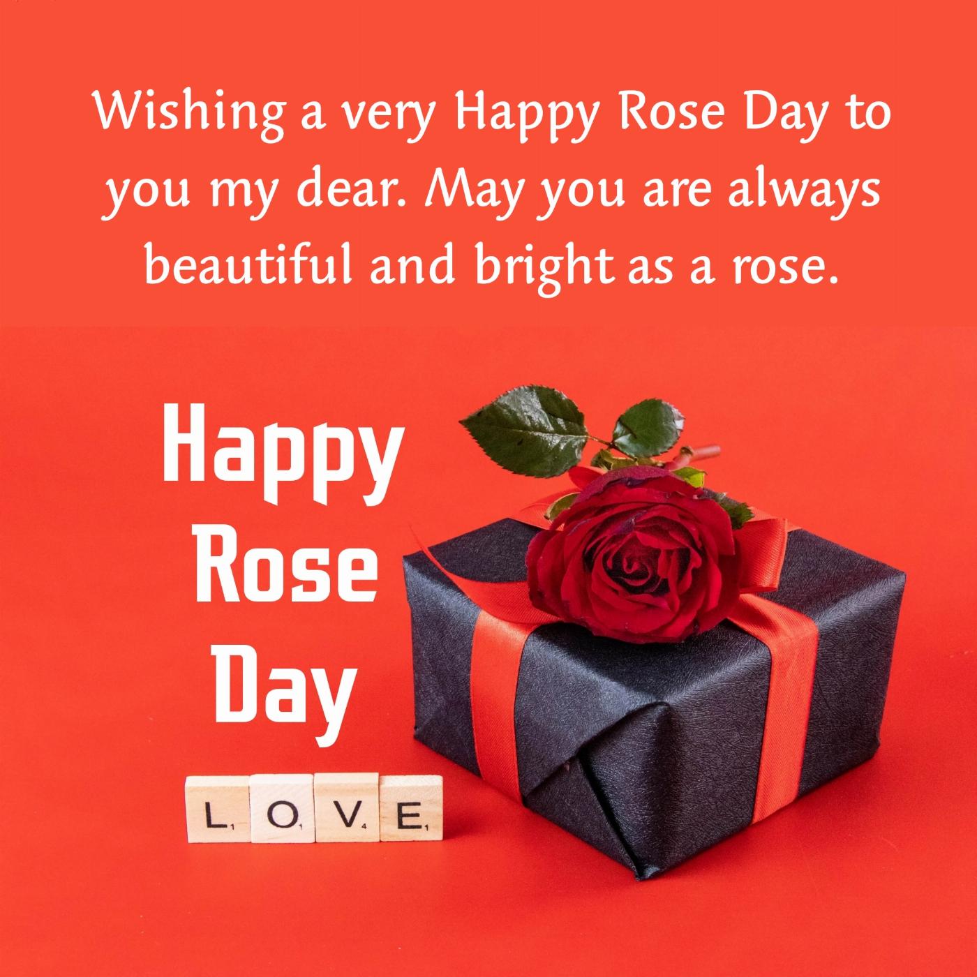Wishing a very Happy Rose Day to you my dear