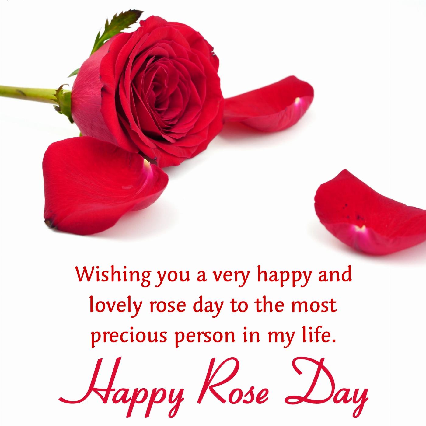 Wishing you a very happy and lovely rose day