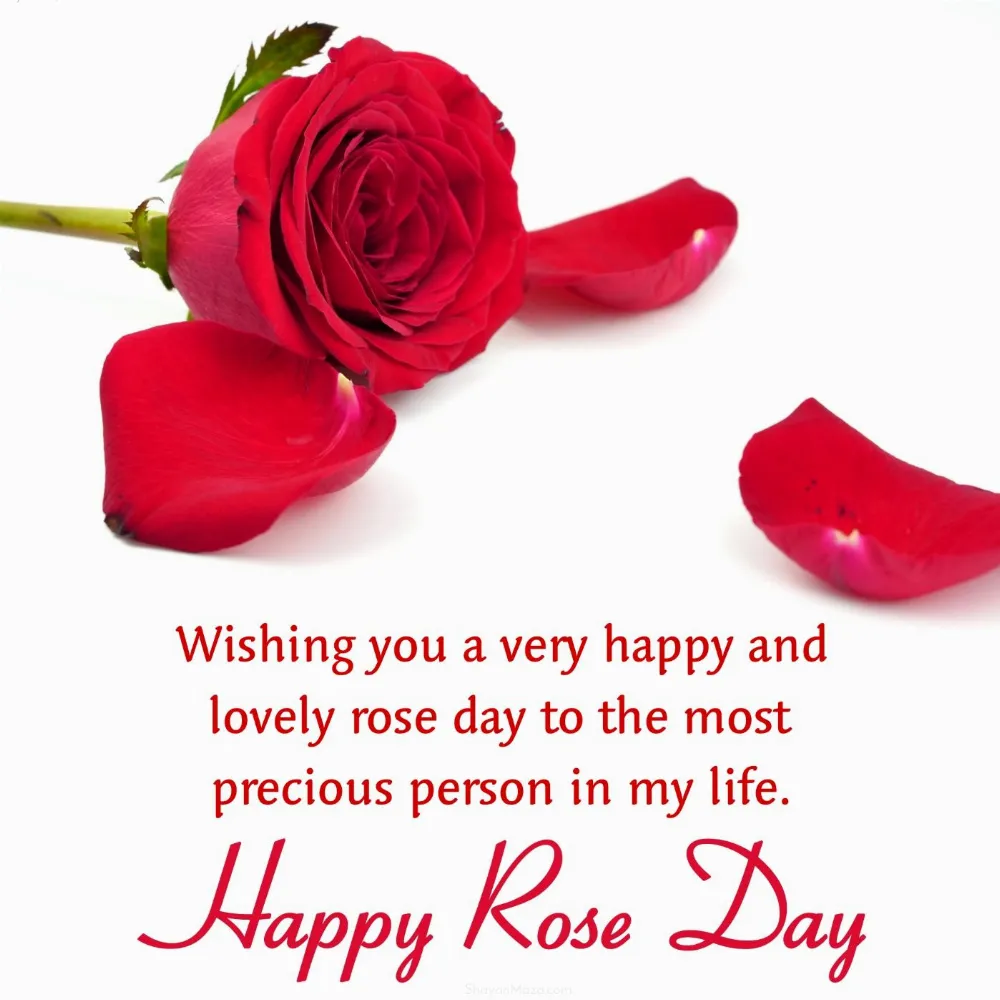 Wishing you a very happy and lovely rose day