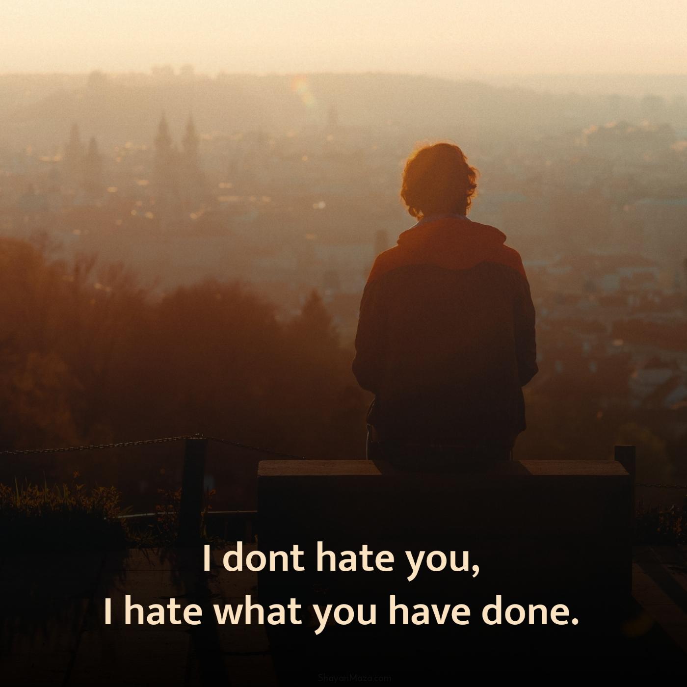 I dont hate you I hate what you have done