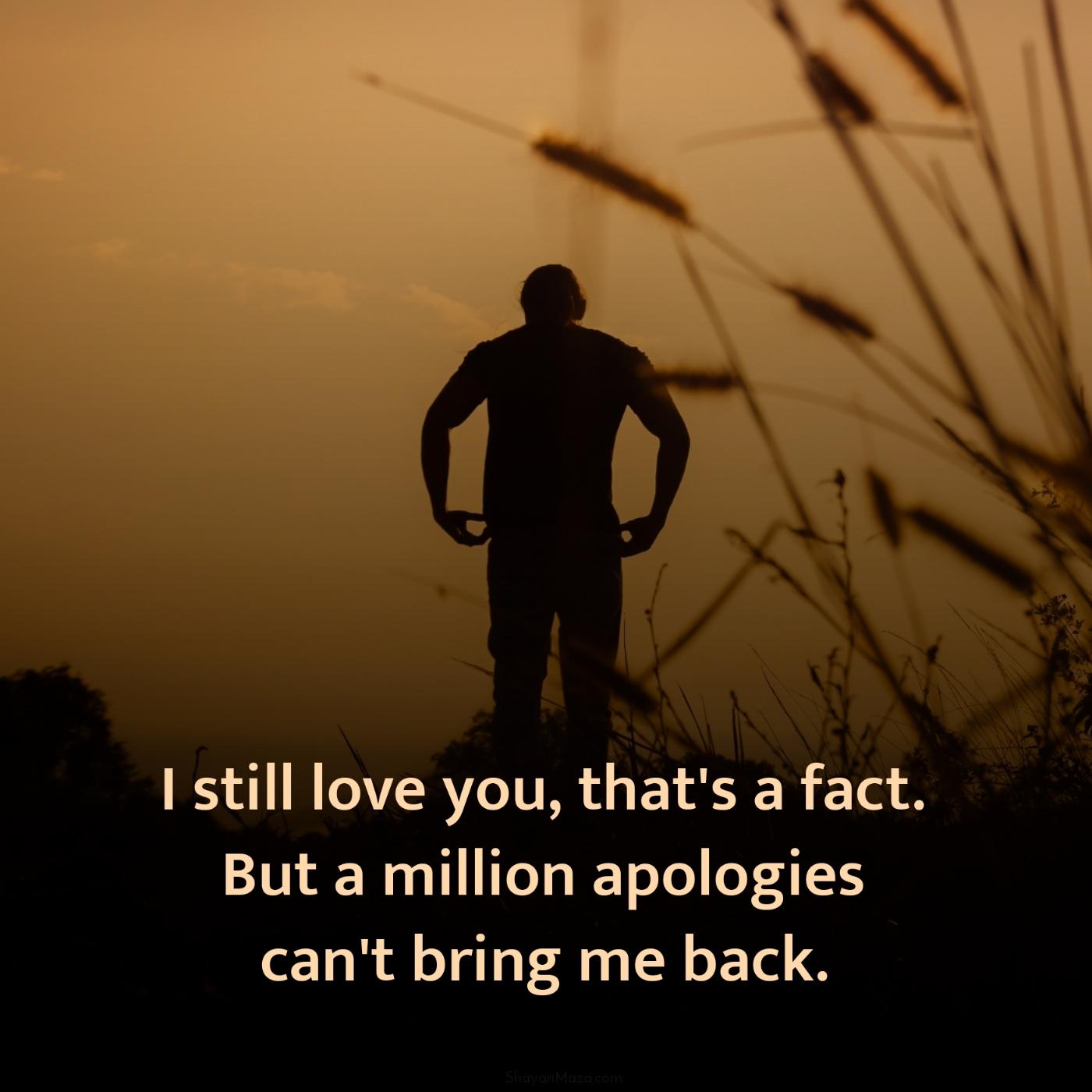 I still love you that's a fact But a million apologies