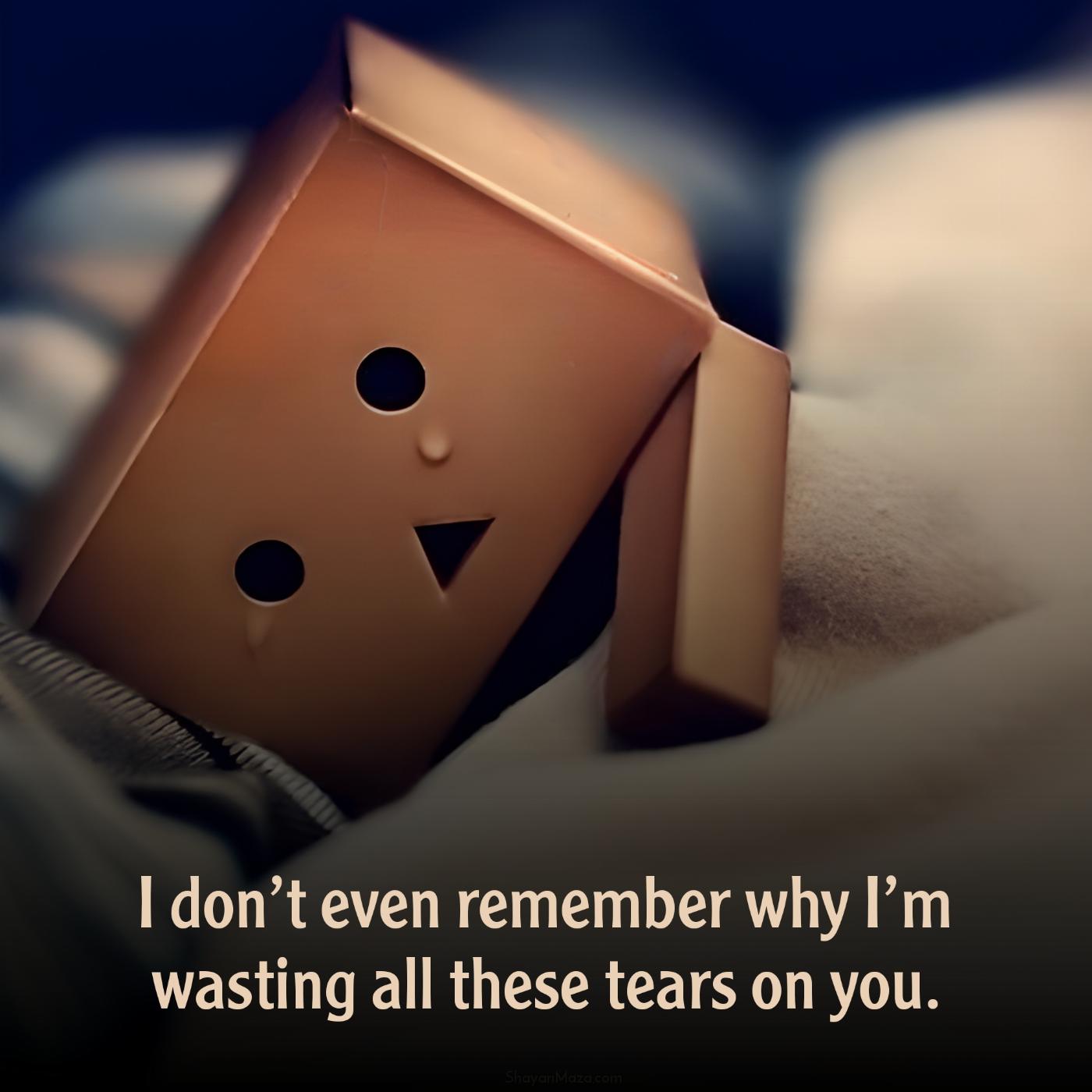 I dont even remember why Im wasting all these tears on you