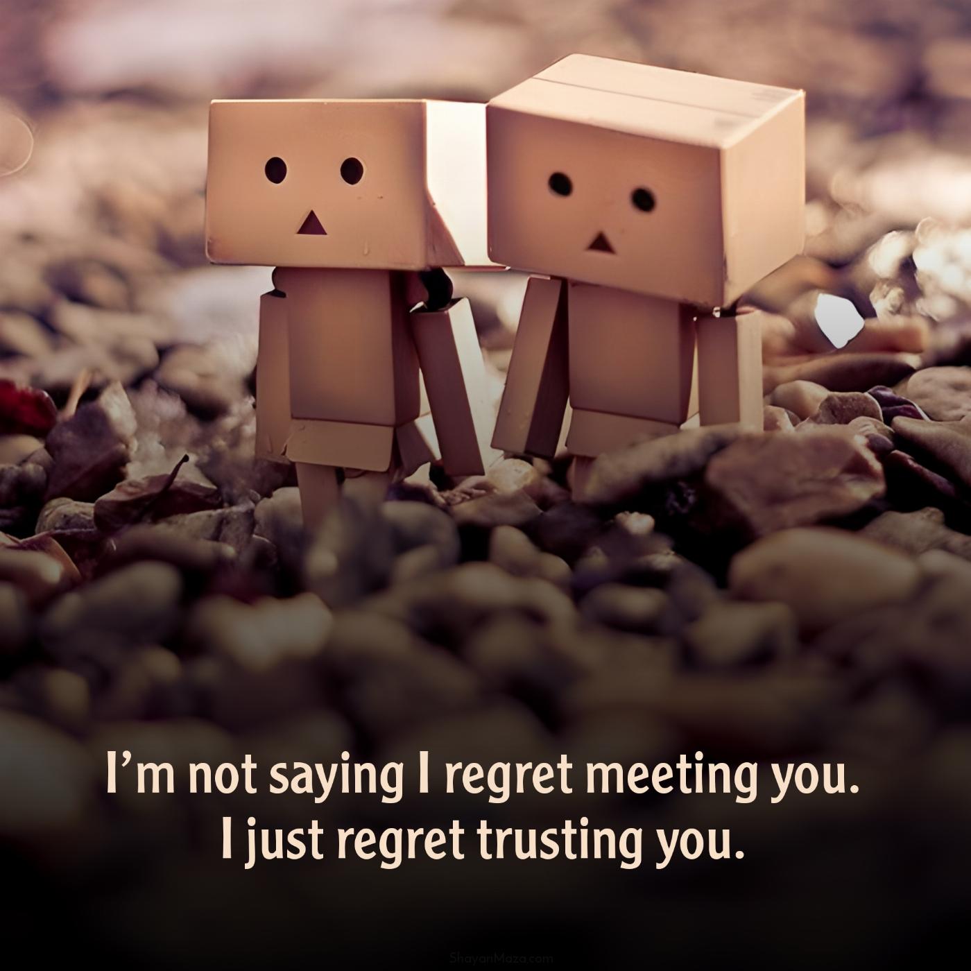Im not saying I regret meeting you