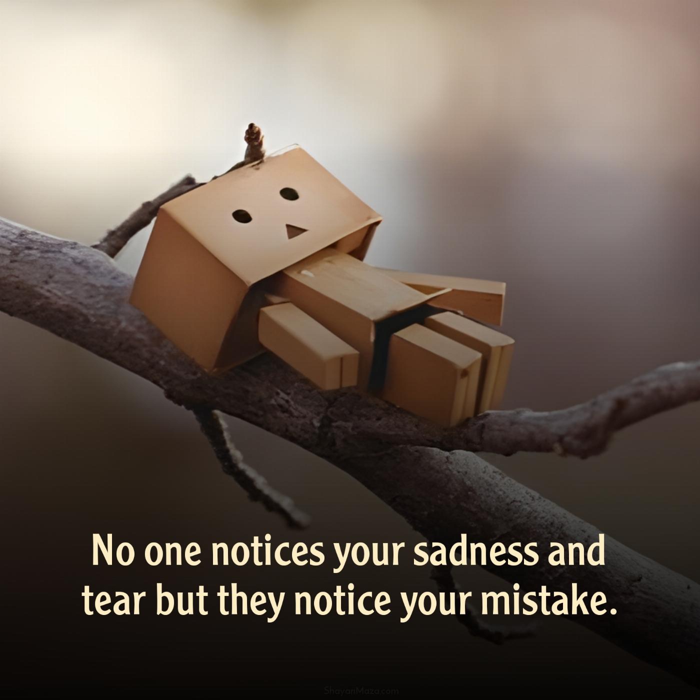No one notices your sadness and tear but they notice your mistake