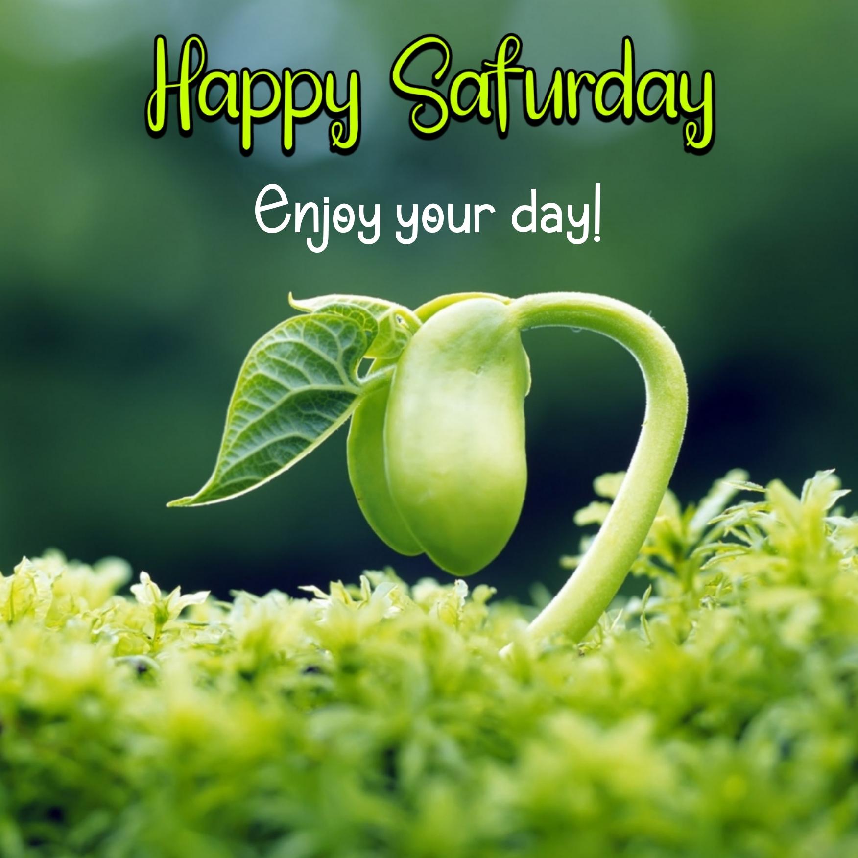 Happy Saturday Enjoy Your Day Images
