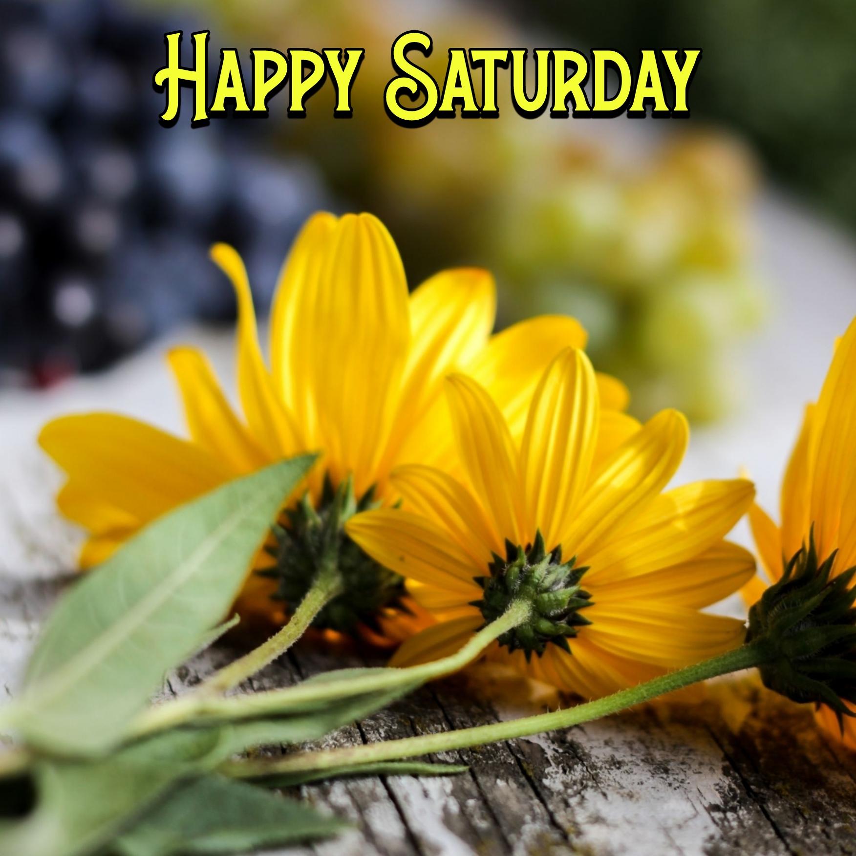 Happy Saturday Flower Images
